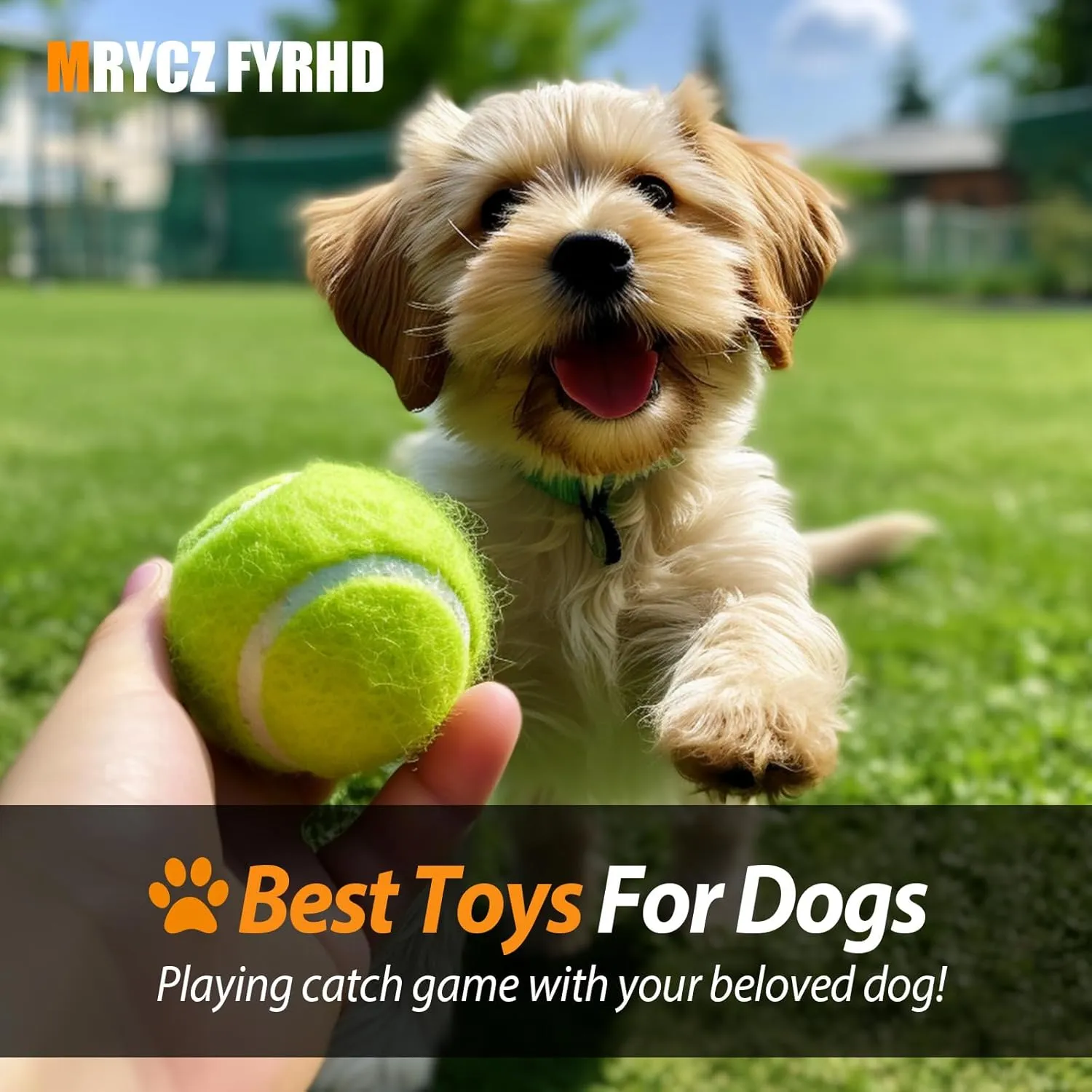 12/18 Pack Tennis Balls for Training, Pet Dog Playing, and Practice With Mesh Bag for Transport and Beginner Training