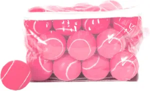 30 Pack Tennis Balls, Training Tennis Balls, Pet Dog Playing Balls, Practice Tennis Balls with Mesh Bag for Transport and Beginner Training