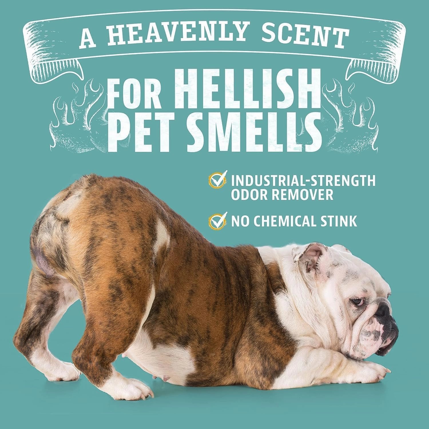 ANGRY ORANGE Pet Odor Eliminator for Dog and Cat Urine, Carpet Stains, and Strong Smells – Citrus Cleaner with Natural Orange Oil – 24 oz - Value 3 Pack