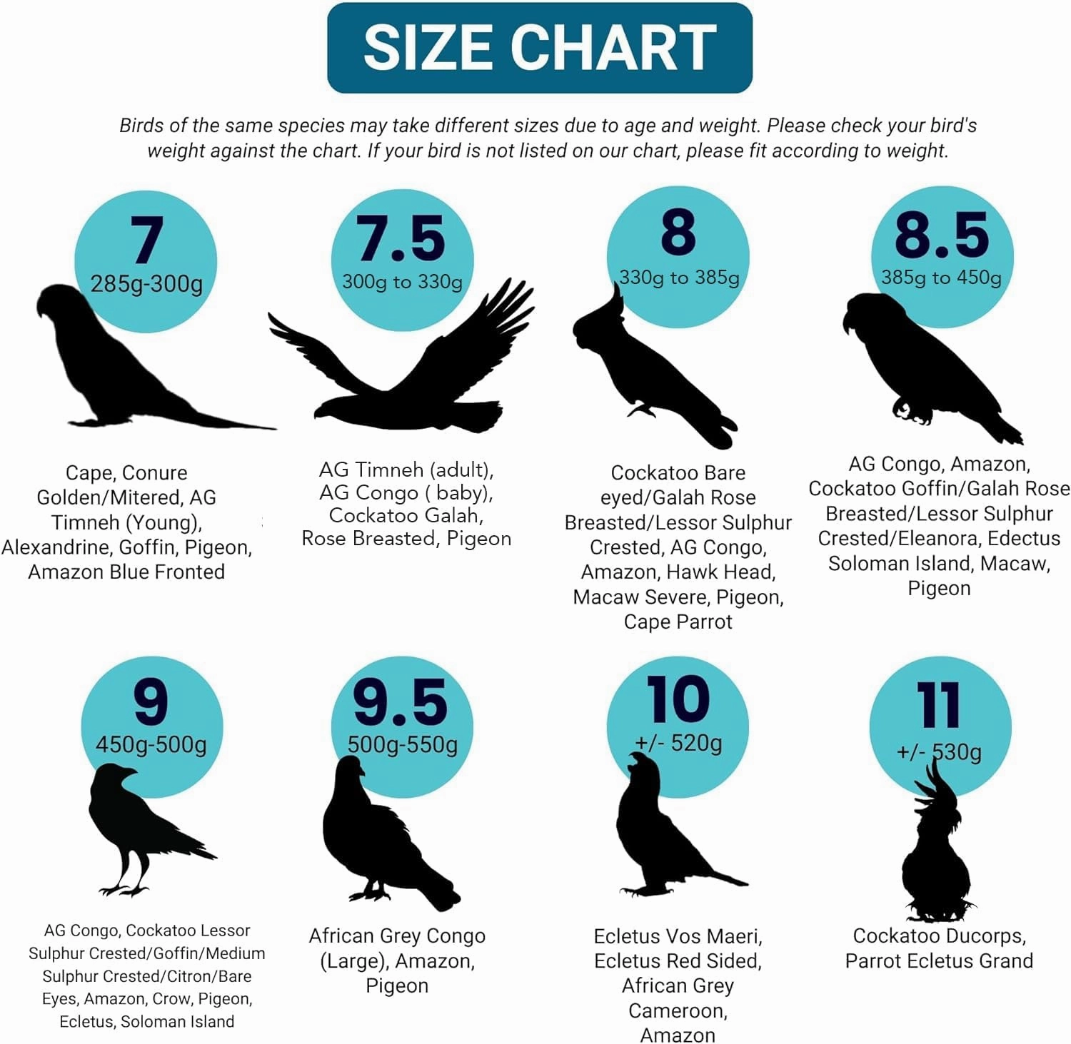 Bev's Bird Boutique - Regular Flypers (Open Back Design)