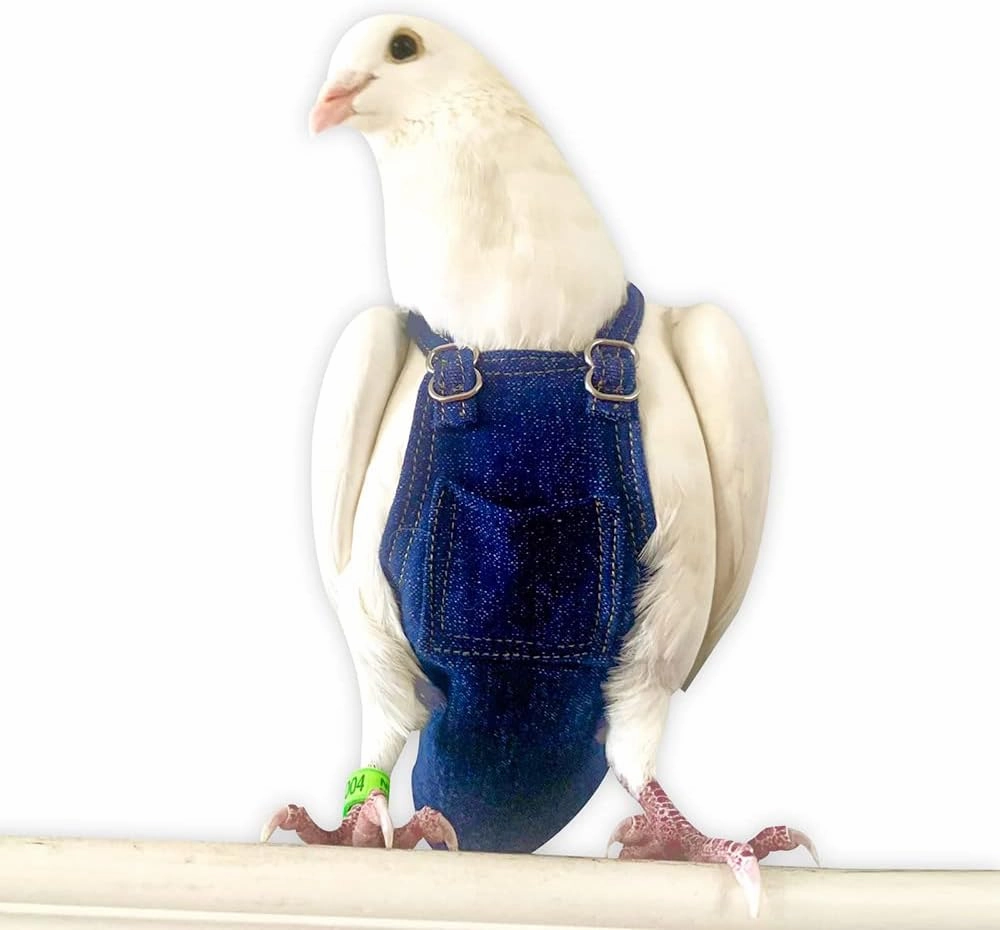 Bev's Bird Boutique - Regular Flypers (Open Back Design)