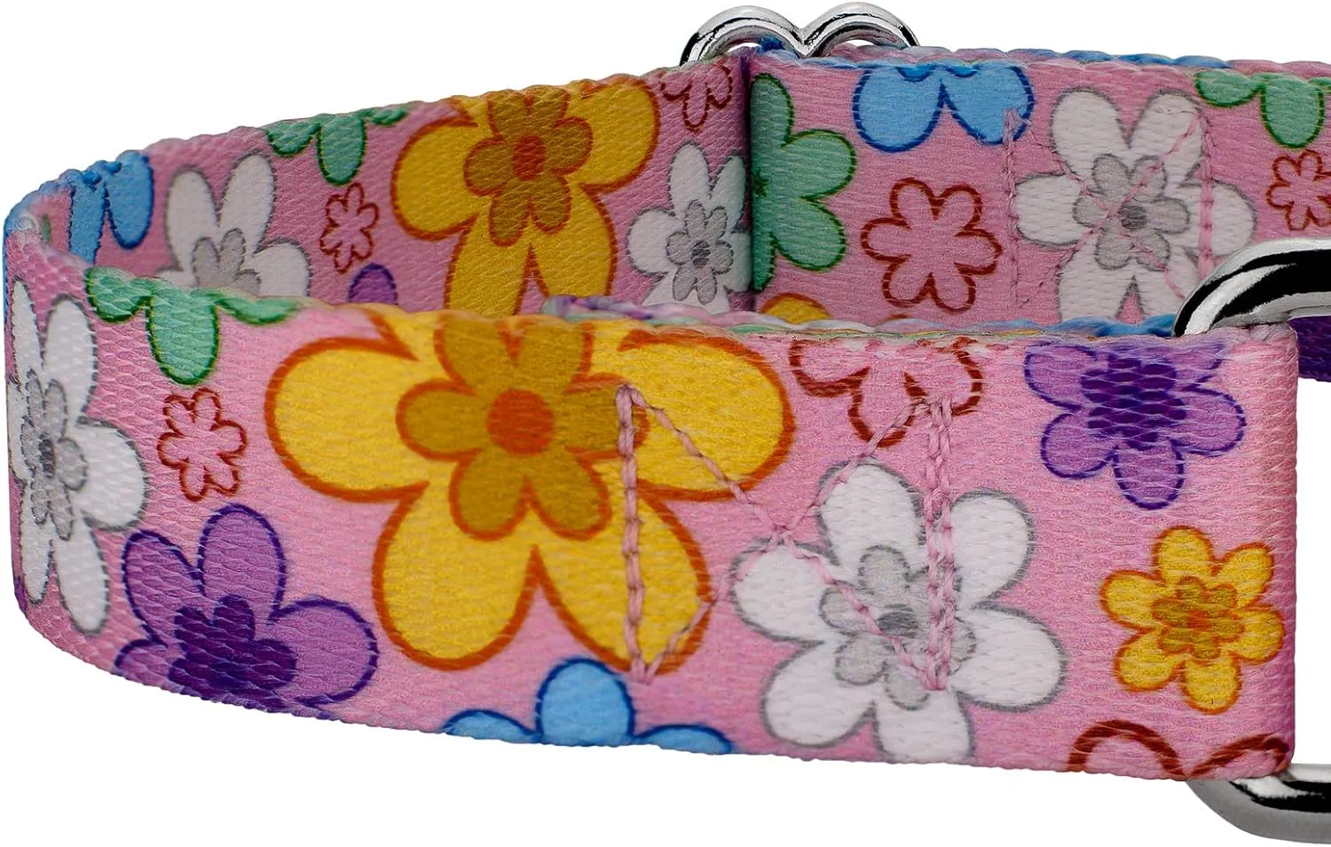 Country Brook Petz - May Flowers Martingale Dog Collar and Leash - Floral Collection Featuring Charming Designs (1/2 Inch, Extra Small)