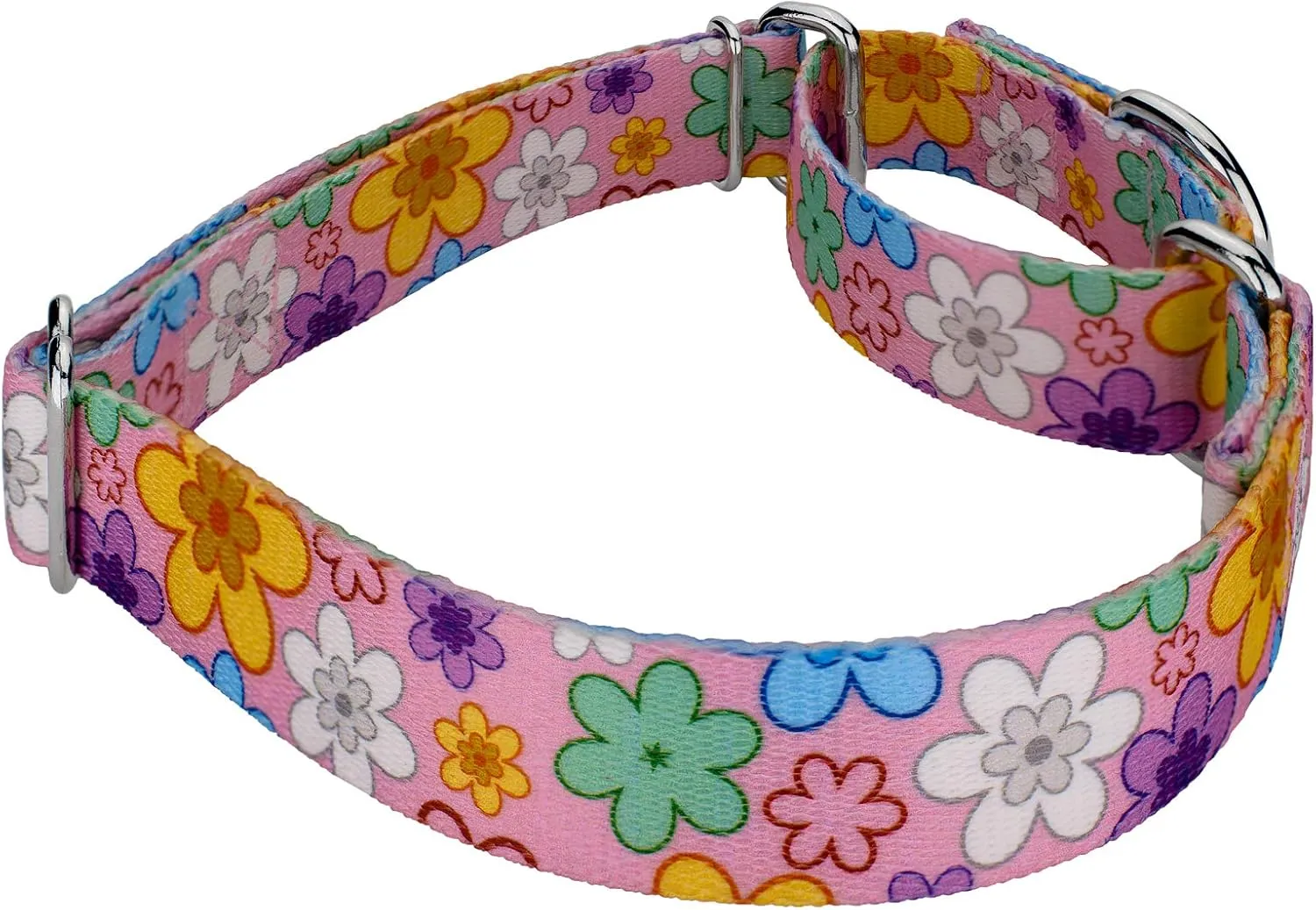Country Brook Petz - May Flowers Martingale Dog Collar and Leash - Floral Collection Featuring Charming Designs (1/2 Inch, Extra Small)