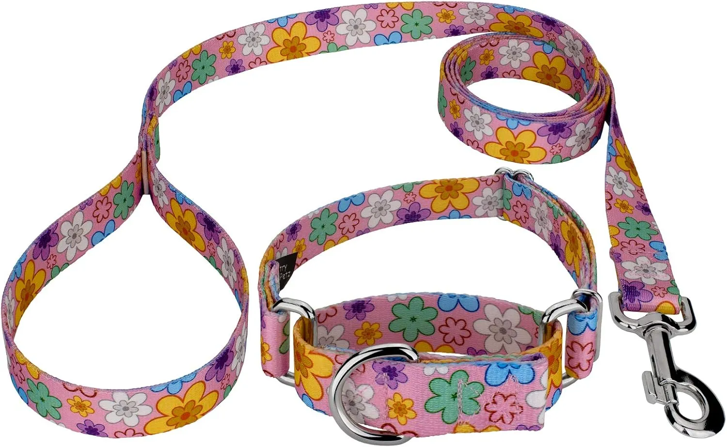 Country Brook Petz - May Flowers Martingale Dog Collar and Leash - Floral Collection Featuring Charming Designs (1/2 Inch, Extra Small)