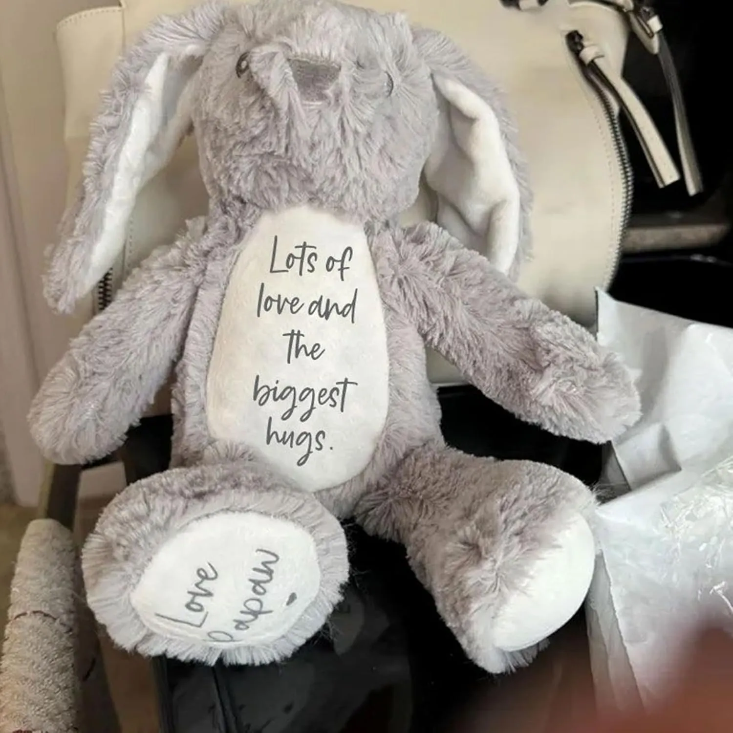 Custom Plush Bunny Keepsake Gift Toy, Lots of Love and the Biggest Hugs Rabbit Name Personalized Stuffed Animal Doll Gift for Newborn Party Baby Shower Birthday (Style C)
