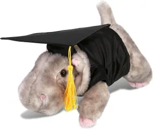 DolliBu Hippo Graduation Plush Toy - Wild Collection Plush Graduation Stuffed Animal Dress Up with Gown and Cap with Tassel with Personalization - 11 Inches