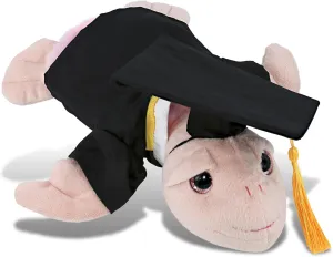 DolliBu Rainbow Pink Sea Turtle Graduation Plush Toy - Super Soft Plush Graduation Stuffed Animal Dress Up Gown, Cap with Tassel Outfit - Congratulatory Graduation Gift with Personalization - 10 Inch
