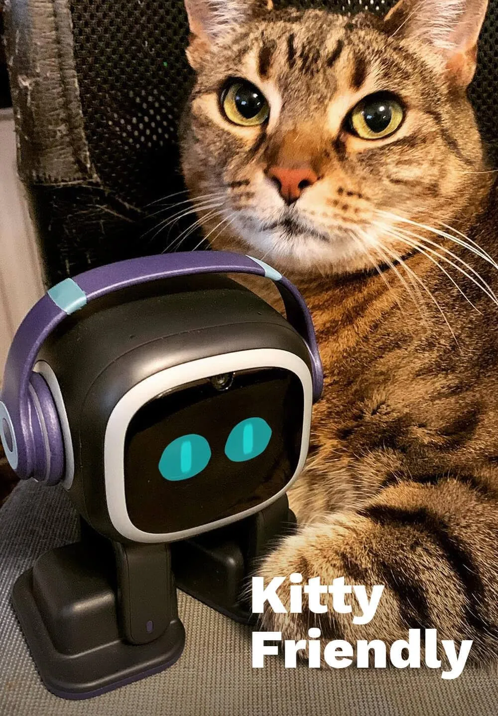 EMO Go Home AI Desktop Pet Robot with EMO Smart Lighting Automatic Charging Version by Living.AI