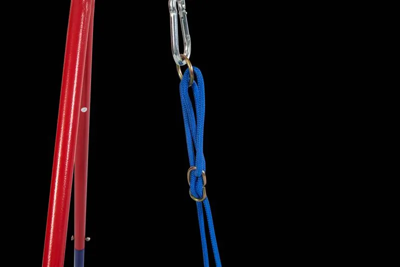 Fun & Safe 2-in-1 Outdoor Baby Swing