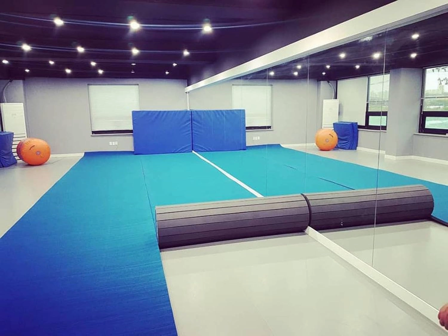 Indoor Gymnastics Tracks Exercise Mat Roll Out Cheerleading Fitness Mats with a Grippy Gym Carpet Top Sturdy Foam Wrestling Mats for MMA, Gymnastics (Size : 3m*0.91m*4cm)