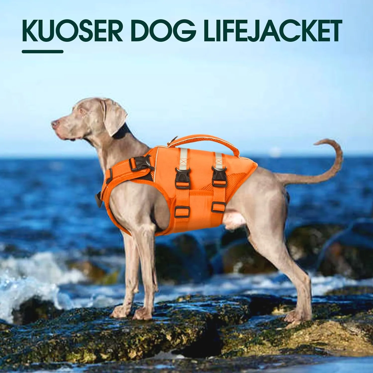 Kuoser Dog Life Jacket, High Flotation Dog Life Vest for Swimming Boating, Adjustable Ripstop Pet Lifesaver for Small Medium and Large Dogs, Reflective Safety Puppy Swimming Vest with Rescue Handle