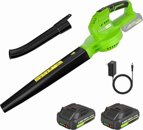 Leaf Blower Cordless, 20V Electric Leaf Blower with 2 X 2.0Ah Batteries and Fast Charger, 3 Speed Control, Handheld Lightweight Leaf Blower for Lawn Care, Patio, Garden Cleaning, etc