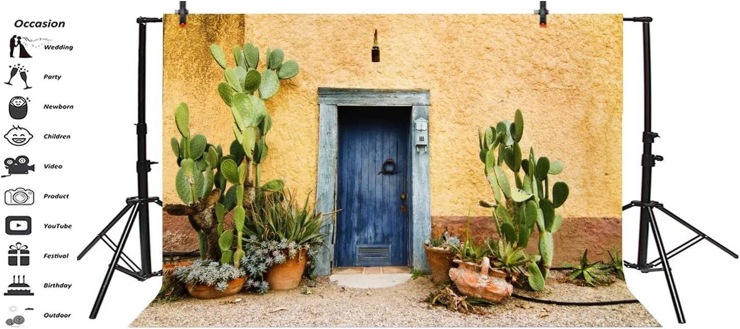 Leyiyi 7x5ft Photography Background Mexico Cactus Backdrop Western Building Life Desert Plant Saguaro Grunge Stone Wall Flowerpot Oilpainting Garden Door Cowboy Photo Portrait Vinyl Studio Video Prop
