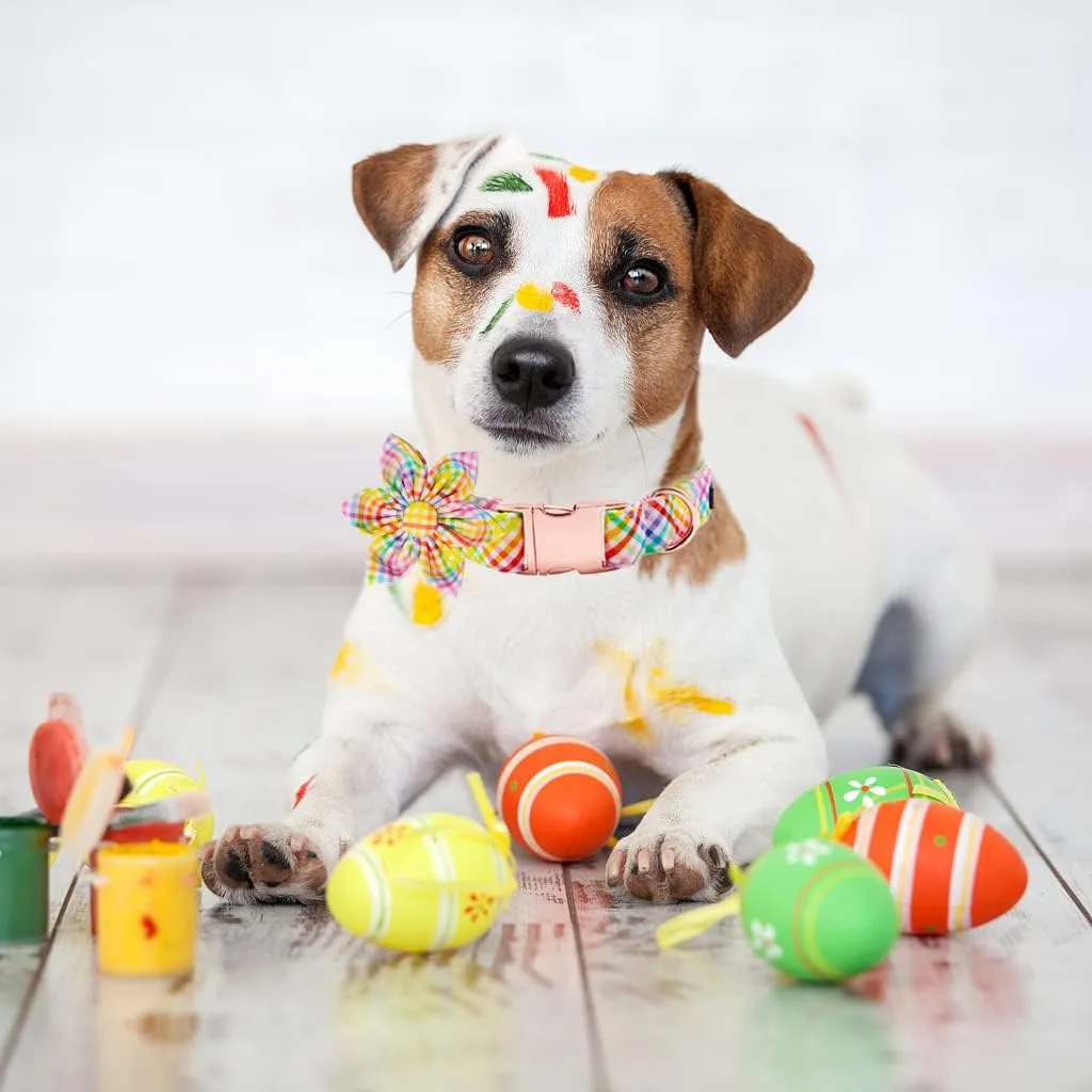Lionet Paws Easter Dog Collar with Flower - Colorful Cute Cotton Flower Dog Collar with Metal Buckle for Large Dog Girl, L, Neck 16-24in