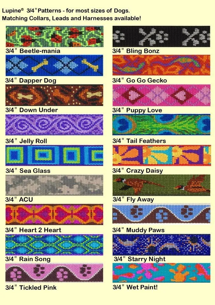 LupinePet Originals 3/4" Sea Glass 13-22" Adjustable Collar for Medium and Larger Dogs