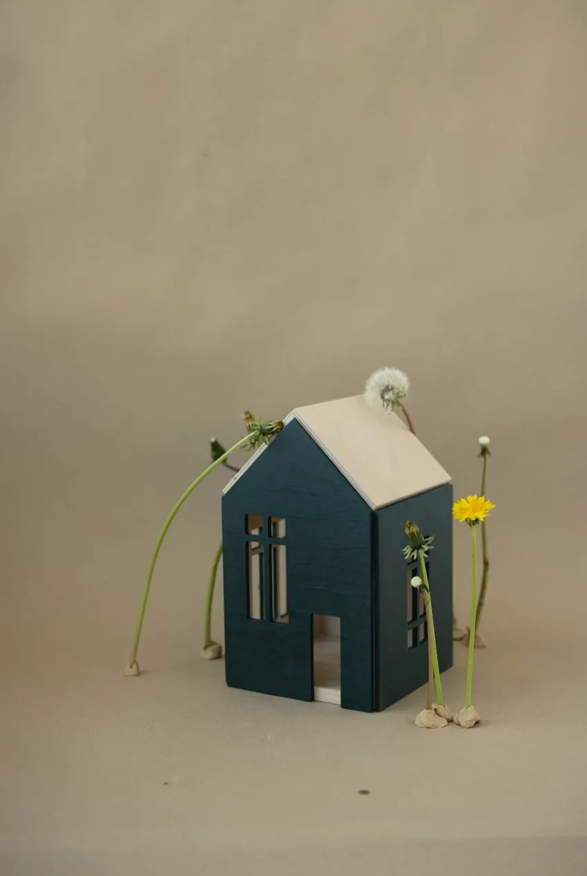 Magnetic Houses *NEW LOW PRICE*