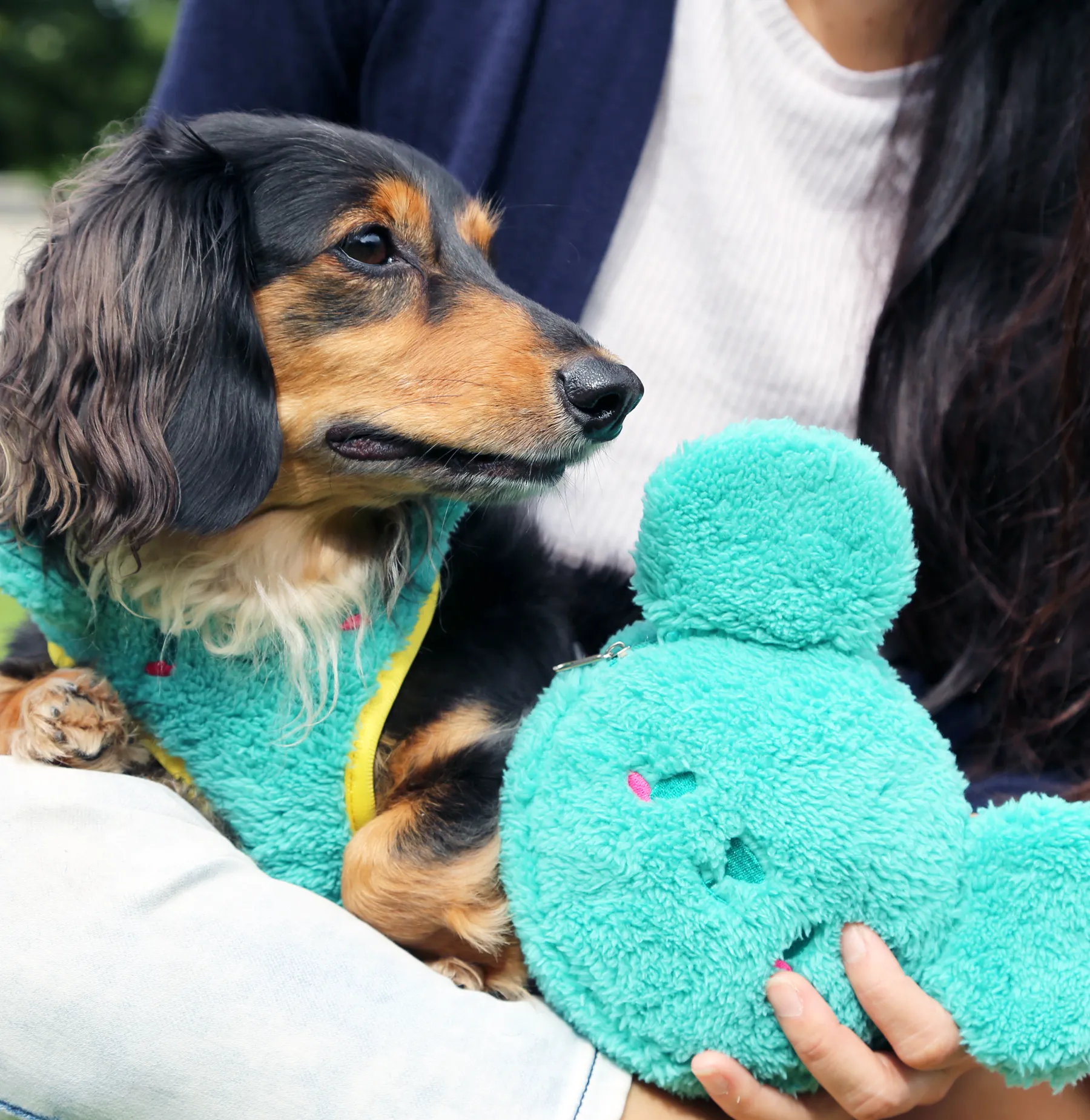 Matcha-kuma bag •ᴥ• ふわふわクマ