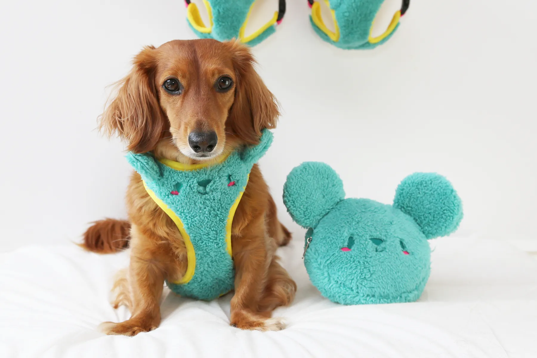 Matcha-kuma bag •ᴥ• ふわふわクマ