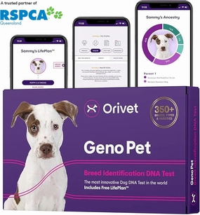 ORIVET Genopet Dog DNA Test | Dog Breed Test Kit, Genetic Testing, Heritable Health Risks and Life Plan