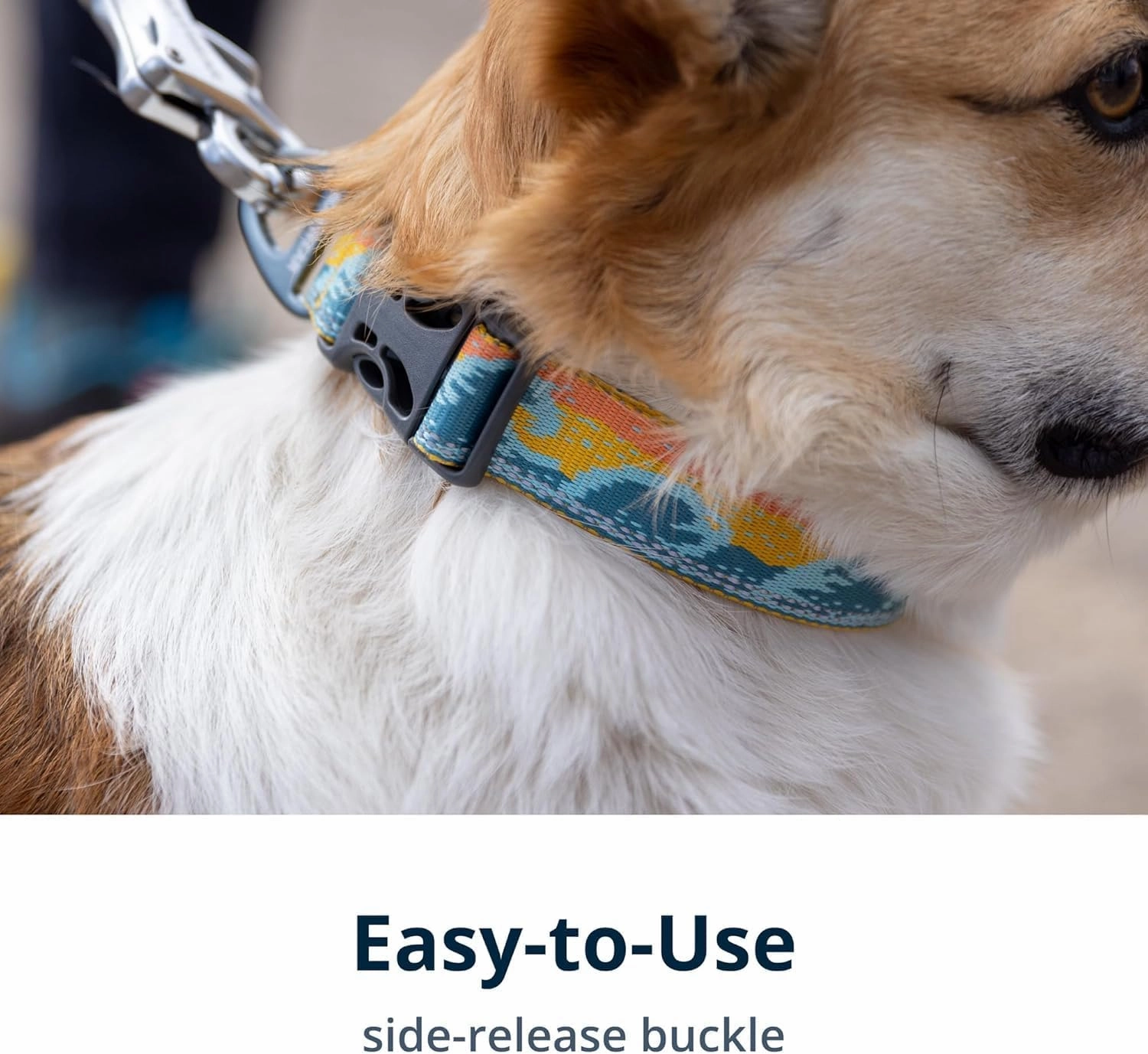 Ruffwear, Crag Dog Collar, Reflective and Comfortable Collar for Everyday Use, Canyon Oxbow, 14"-20"
