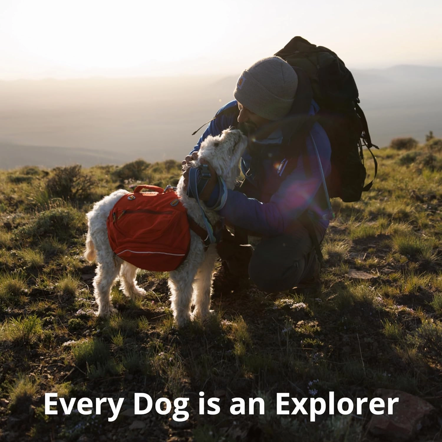 Ruffwear, Crag Dog Collar, Reflective and Comfortable Collar for Everyday Use, Canyon Oxbow, 14"-20"