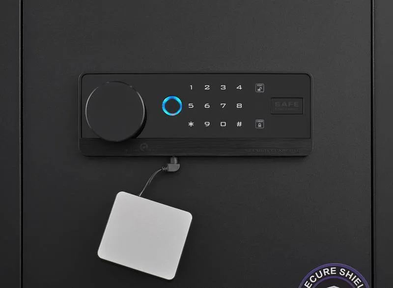 Secure & Smart Home Safe