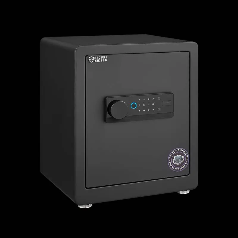 Secure & Smart Home Safe