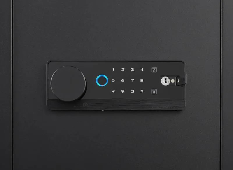 Secure & Smart Home Safe