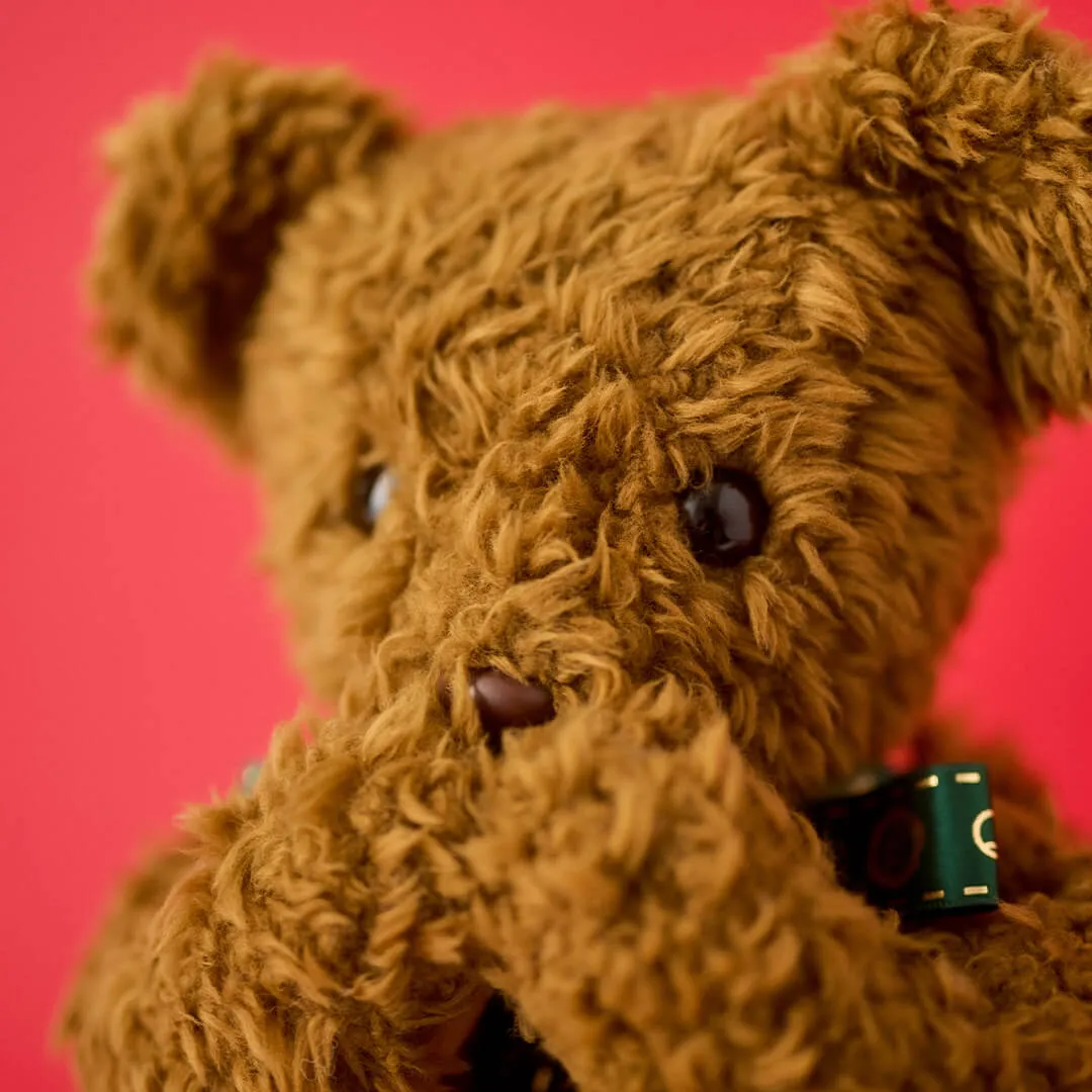 Teddy Bear / BisQuit【Japan Jewelry】