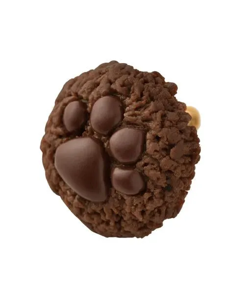 Teddy Bear's Paw Chocolate Cookie Clip-On Earring (Single)【Japan Jewelry】