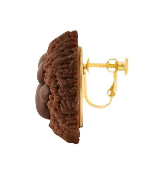 Teddy Bear's Paw Chocolate Cookie Clip-On Earring (Single)【Japan Jewelry】