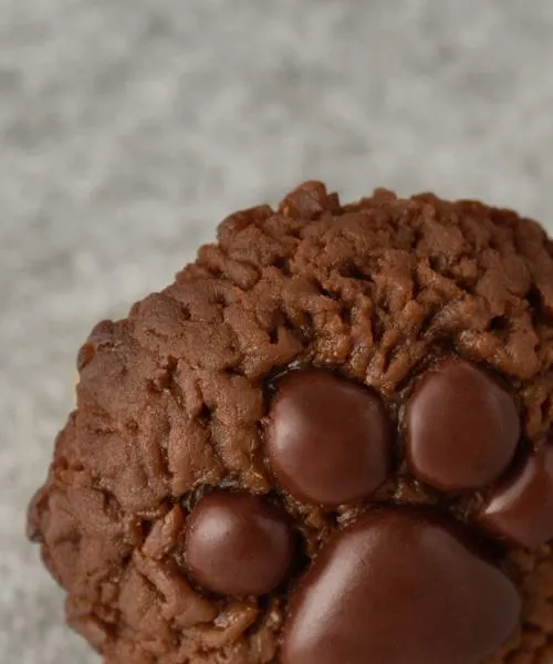 Teddy Bear's Paw Chocolate Cookie Clip-On Earring (Single)【Japan Jewelry】