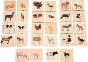 TickiT - 73406 Domestic Animal Family Match - Set of 28 - Real Pictures - Animal Memory Game with Parents and Babies - Animal Matching Game for Toddlers - Develop Cognitive Skills ,Critical Thinking