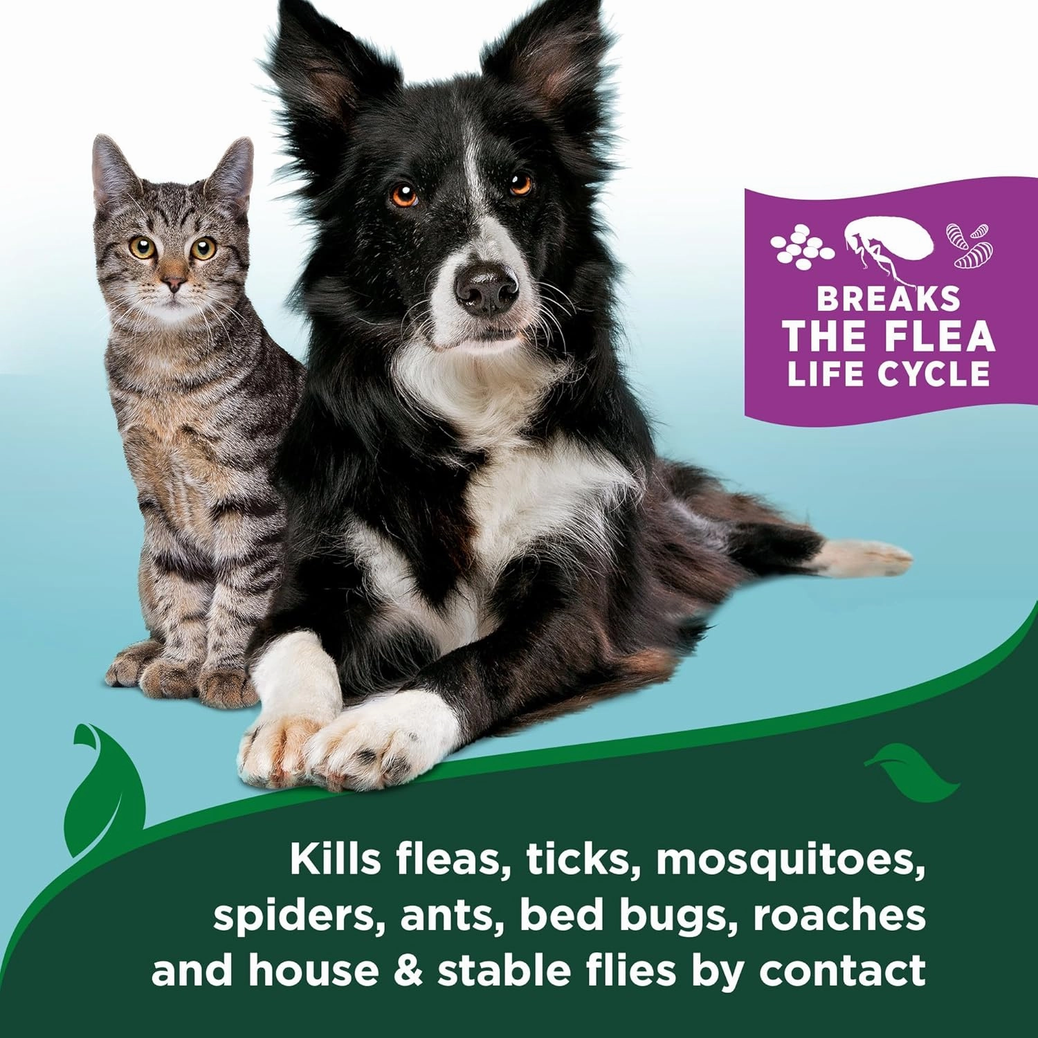 Vet’s Best Flea and Tick Gentle Mist for Cats – Cotton Spice Scent – Plant-Powered Flea and Tick Prevention – Pest Protection for Pets – Gentle Spray – 6.3oz